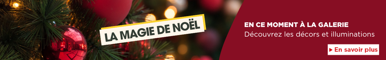 carrousel-decoration-noel.png